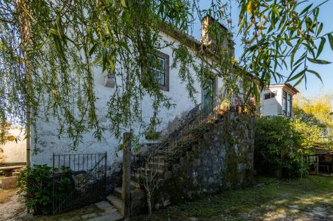 Quinta em Deocriste com 12 ha de terreno