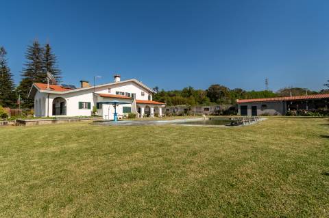 Quinta V4 em Palmeira, Braga