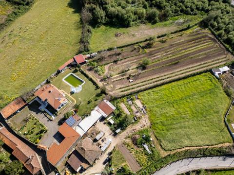 Quinta V4 em Palmeira, Braga