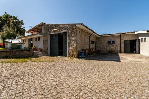 Quinta V4 em Palmeira, Braga