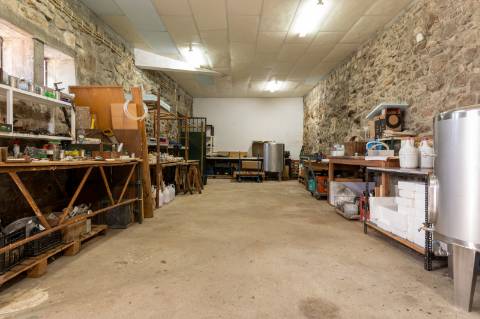 Quinta V4 em Palmeira, Braga