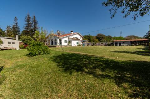 Quinta V4 em Palmeira, Braga