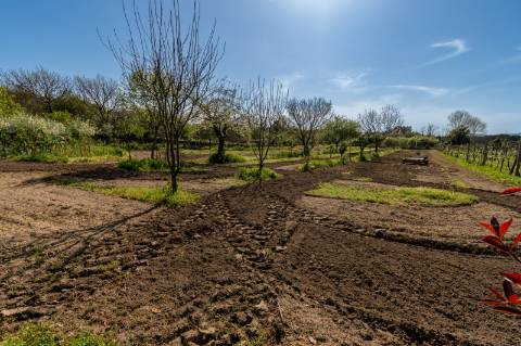 Quinta V4 em Palmeira, Braga