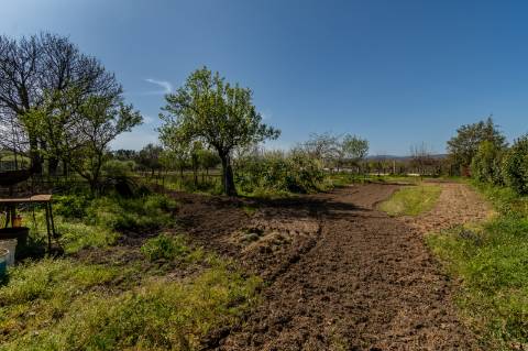 Quinta V4 em Palmeira, Braga