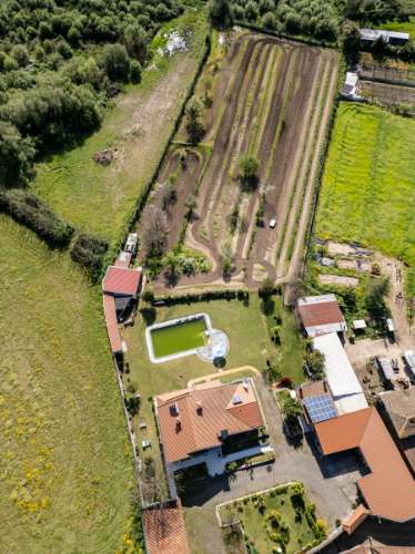 Quinta V4 em Palmeira, Braga