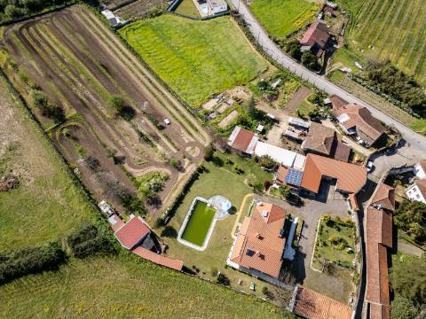 Quinta V4 em Palmeira, Braga