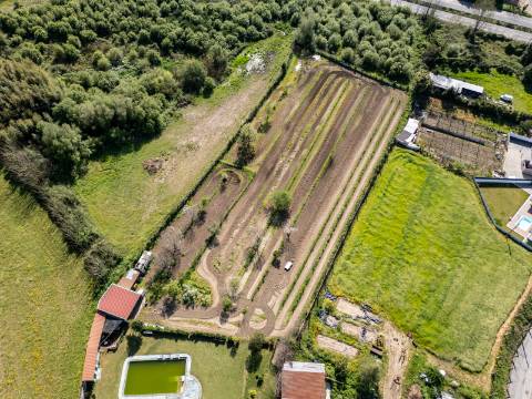 Quinta V4 em Palmeira, Braga