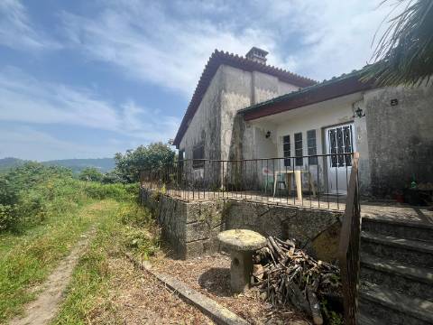 Quintinha T4, 4.000m2, vistas fantásticas