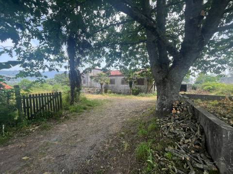 Quintinha T4, 4.000m2, vistas fantásticas