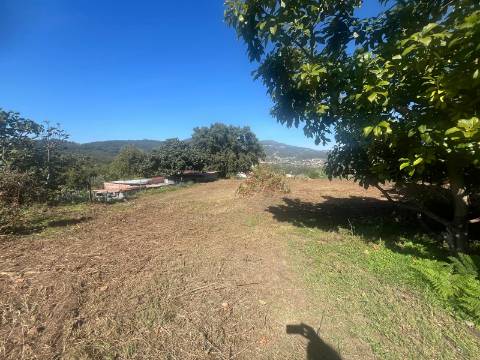 Quintinha T4, 4.000m2, vistas fantásticas