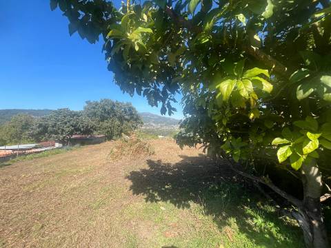 Quintinha T4, 4.000m2, vistas fantásticas