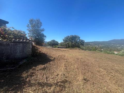 Quintinha T4, 4.000m2, vistas fantásticas