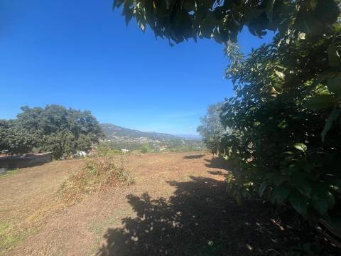 Quintinha T4, 4.000m2, vistas fantásticas