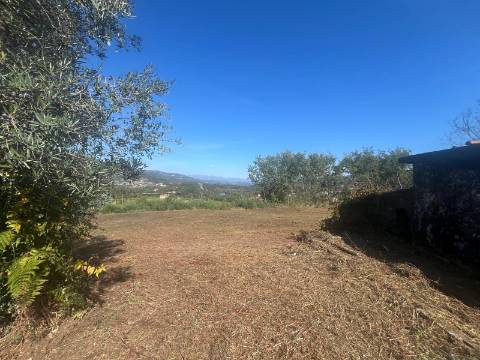 Quintinha T4, 4.000m2, vistas fantásticas