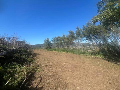 Quintinha T4, 4.000m2, vistas fantásticas