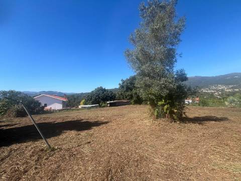 Quintinha T4, 4.000m2, vistas fantásticas