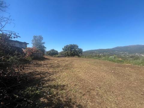 Quintinha T4, 4.000m2, vistas fantásticas