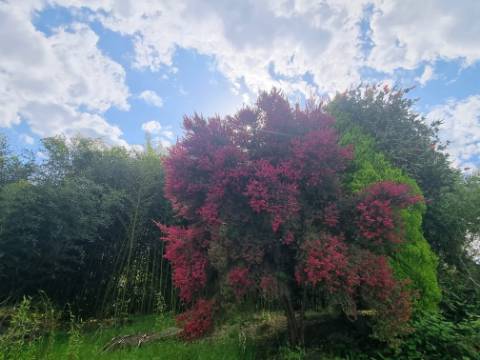Moradia Moderna Hilltop com Vistas Panorâmicas