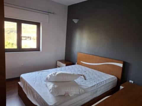 T3+T1 em plena Floresta Mágica da Miranda, Arcos de Valdevez