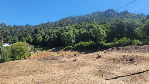 Terreno Exclusivo para Construção - 3.200m²