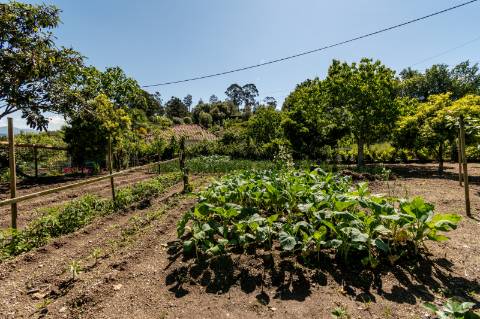 Deslumbrante Quinta de Pedra T4 com Piscina, Vista Rio e Potencial de Expansão - Ponte de Lima