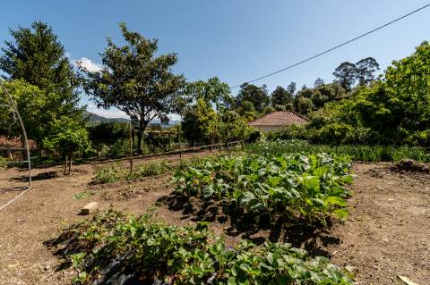 Deslumbrante Quinta de Pedra T4 com Piscina, Vista Rio e Potencial de Expansão - Ponte de Lima