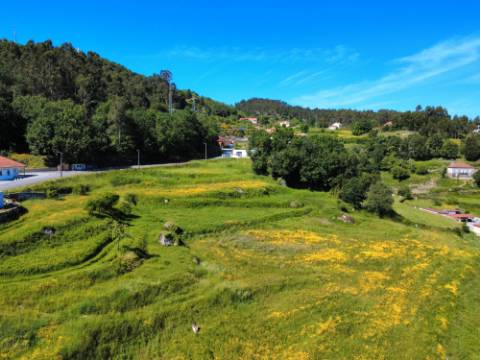 Terreno Urbano Paredes de Coura