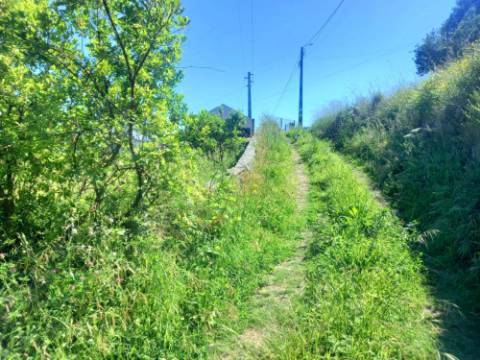 Terreno Urbano Paredes de Coura