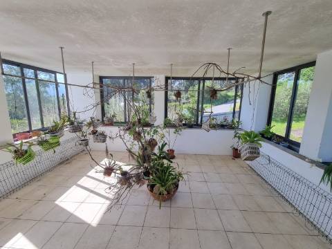 ULTRALUXO, Moradia única em Ponte de Lima