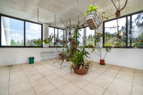 ULTRALUXO, Moradia única em Ponte de Lima