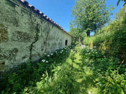 Quinta T9 do Século XVIII