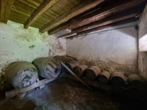 Quinta T9 do Século XVIII