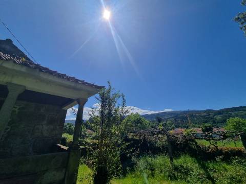 Quinta T9 do Século XVIII