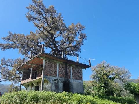 Quinta T9 do Século XVIII