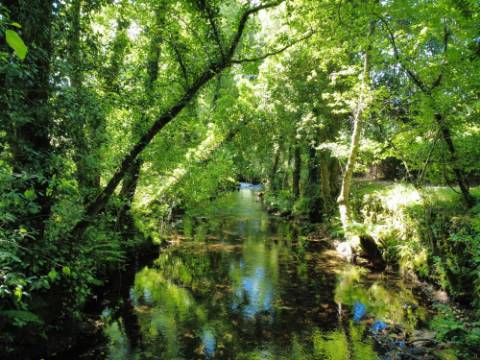 Quinta T9 do Século XVIII