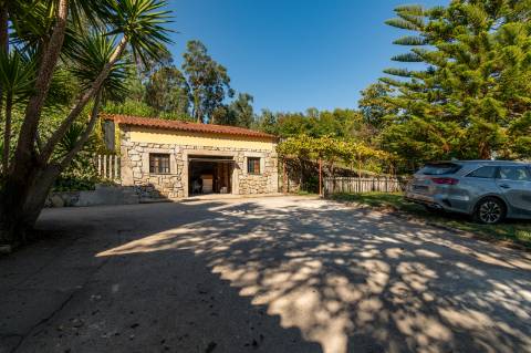Casa de Campo com Piscina 10 minutos de Ponte de Lima