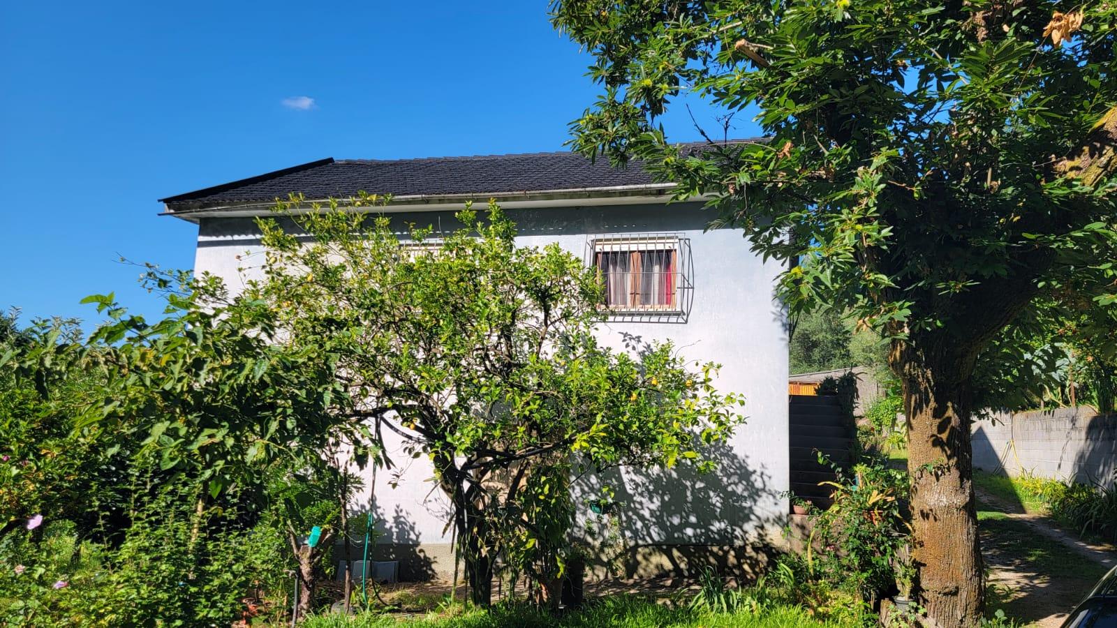 Quinta 10 min de Ponte de Lima com pomar e vinhedo
