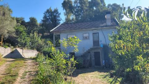 Quinta 10 min de Ponte de Lima com pomar e vinhedo