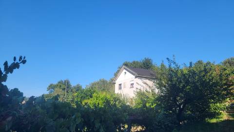 Quinta 10 min de Ponte de Lima com pomar e vinhedo