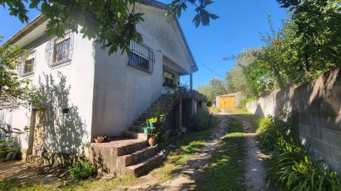 Quinta 10 min de Ponte de Lima com pomar e vinhedo