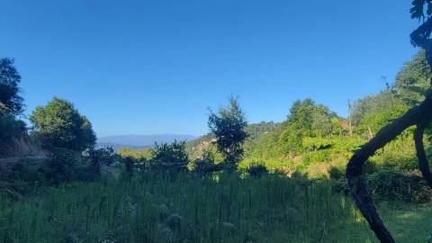 Quinta 10 min de Ponte de Lima com pomar e vinhedo