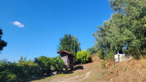 Quinta 10 min de Ponte de Lima com pomar e vinhedo