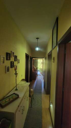 Quinta 10 min de Ponte de Lima com pomar e vinhedo