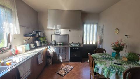 Quinta 10 min de Ponte de Lima com pomar e vinhedo