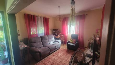 Quinta 10 min de Ponte de Lima com pomar e vinhedo