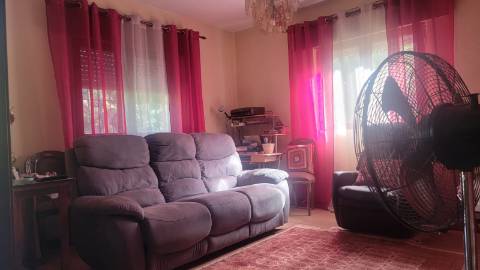 Quinta 10 min de Ponte de Lima com pomar e vinhedo