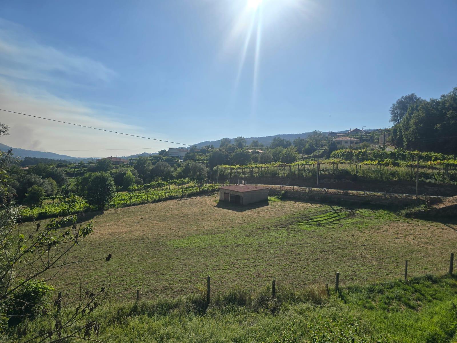 Terreno Souto
