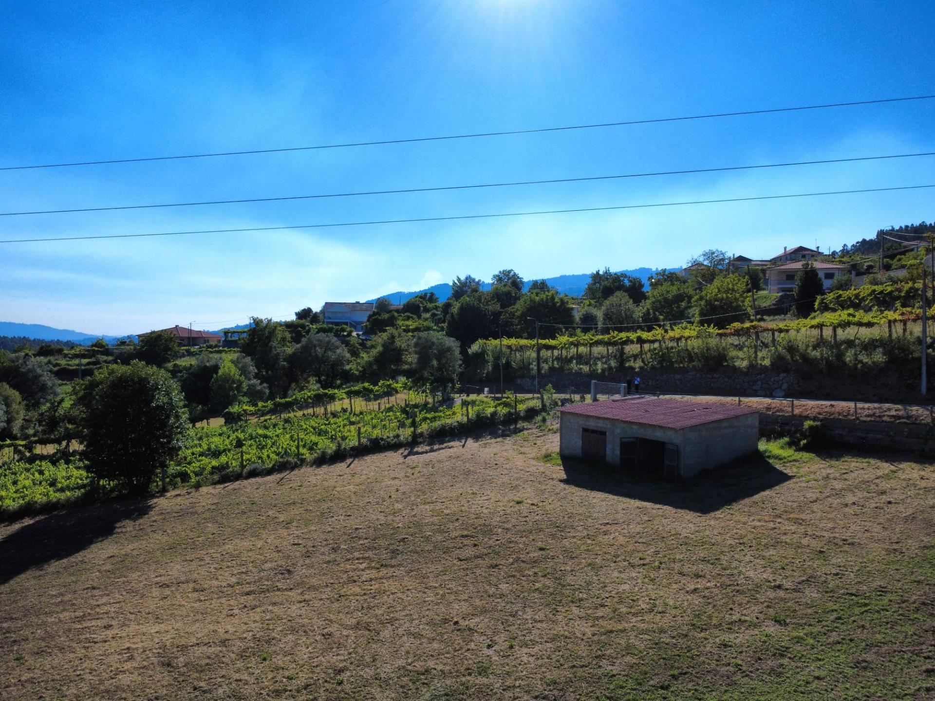 Terreno Souto