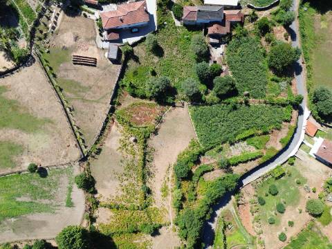 Terreno de Construção e Moradia para Restauro