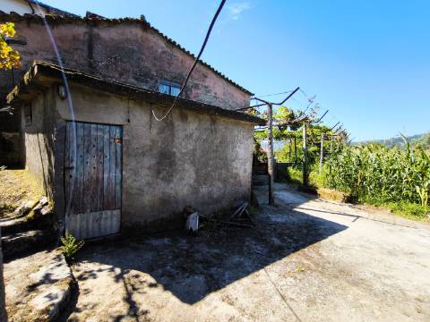 Terreno de Construção e Moradia para Restauro